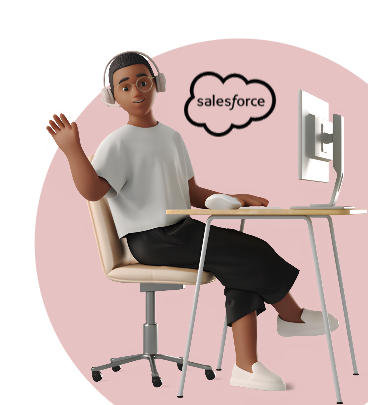 Salesforce Developer